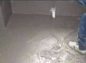 卫生间装修防水指南 施工次数与材料选购详解