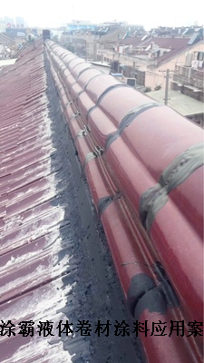 江苏徐州液体卷材价格与水池防水材料应用解析