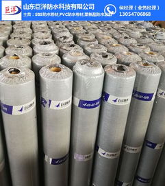 深入解析杭州与山东巨洋耐根穿刺防水卷材 关键技术、检测标准与市场应用