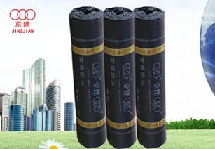 天津防水材料市场概述 类型、应用与选购指南